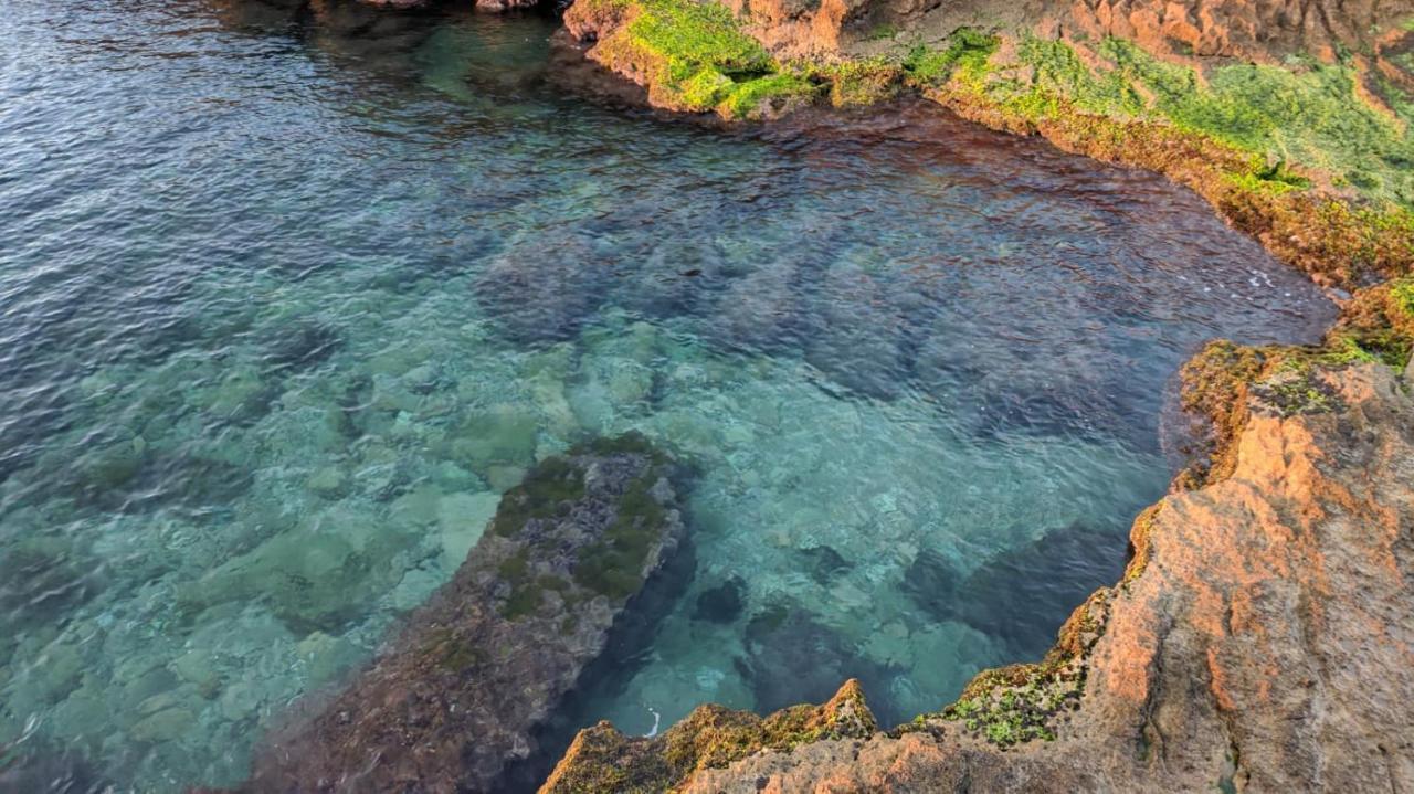 100 Mt Playa De Los Locos Torrevieja Eksteriør bilde